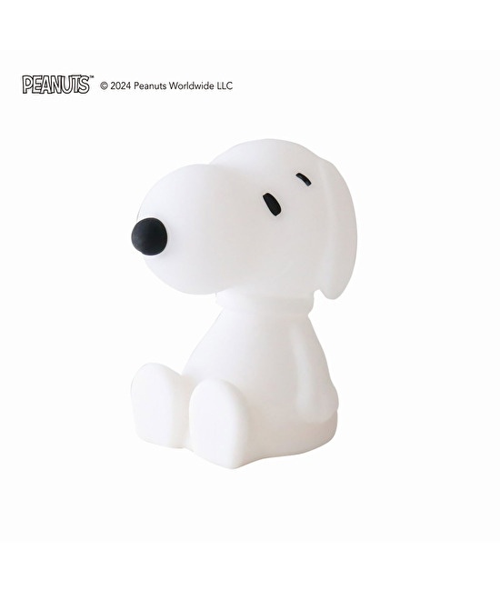 Snoopy Bundle of Light