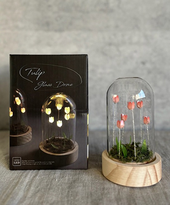 LUMO Tulip Glass Dome S