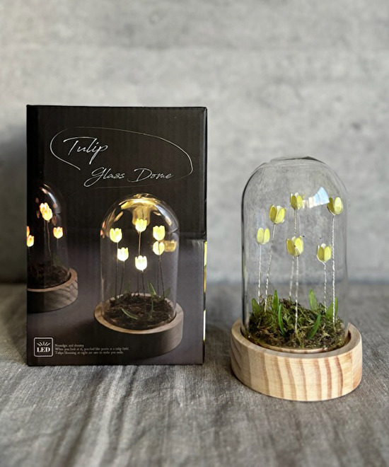 LUMO Tulip Glass Dome S