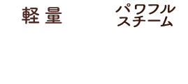 軽量約750g パワフルスチーム最大18g/分